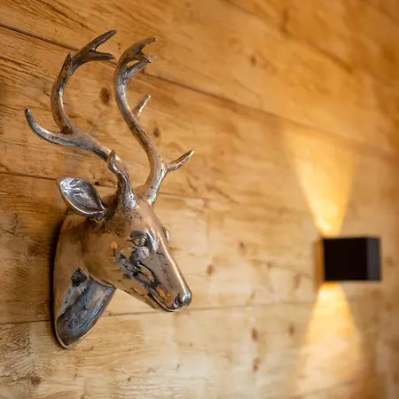 Auszeit Im Harz Haus 3 6 Braunlage